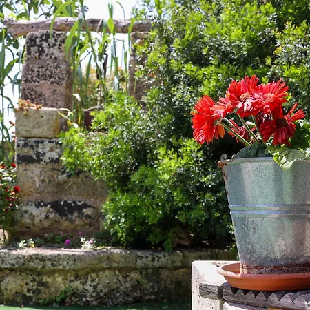 Antico Borgo Marchese Panzió Morciano di Leuca